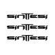 SINTTESI
