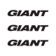 GIANT