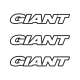 GIANT