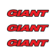 GIANT