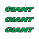GIANT