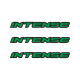 INTENSE