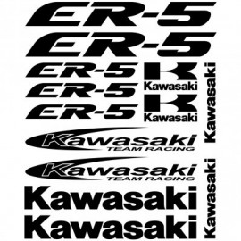 KAWASAKI ER-5