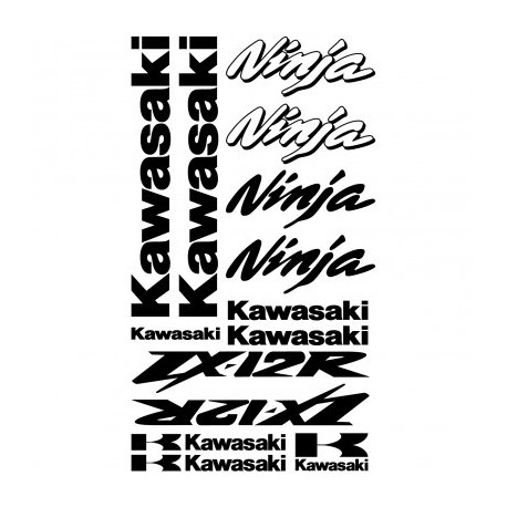 KAWASAKI NINJA ZX-12r