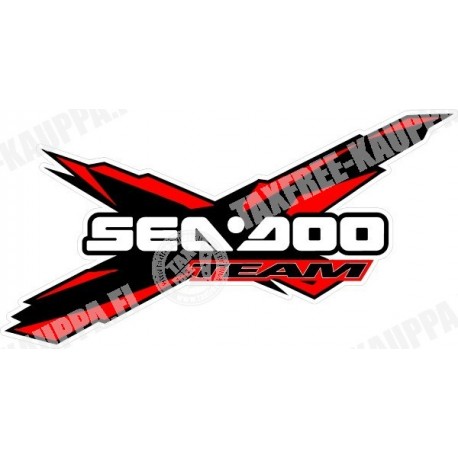 SEA DOO TEAM