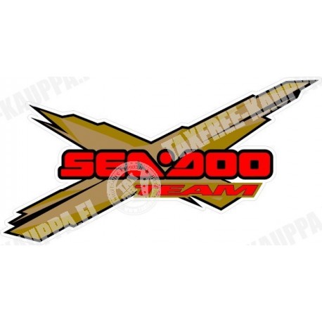 SEA DOO TEAM