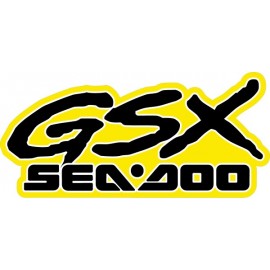 SEA DOO GSX