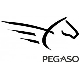 APRILIA PEGASO