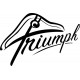TRIUMPH