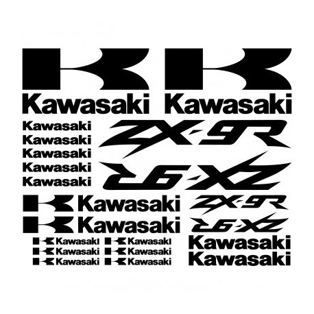 KAWASAKI ZX-9r