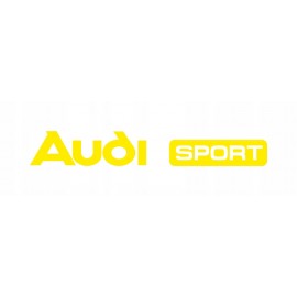 AUDI TARRA