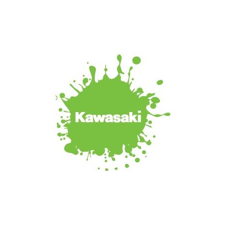 KAWASAKI