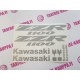 KAWASAKI ZX-10r