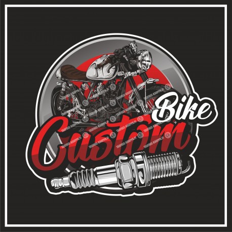 CUSTOM BIKE