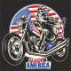 MADE IN AMERICA