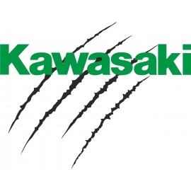 KAWASAKI TARRA