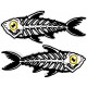 BONEFISH