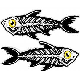 BONEFISH