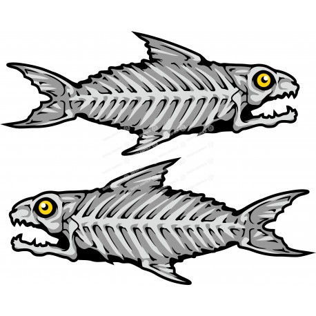 BONEFISH