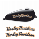 HARLEY DAVIDSON