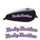 HARLEY DAVIDSON