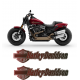 HARLEY DAVIDSON