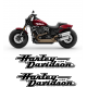 HARLEY DAVIDSON