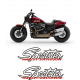 HARLEY DAVIDSON SPORTSTER
