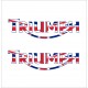 TRIUMPH