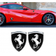 KOHOTARRAT/FERRARI