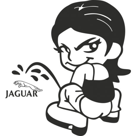 Auton tarroja
