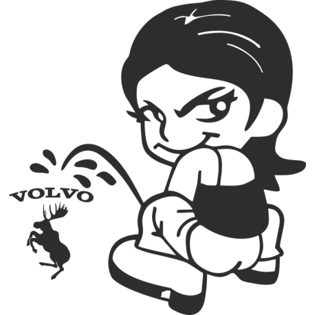 Auton tarroja