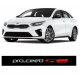 KIA PRO-CEED GT LINE AURINKOSUOJA TARRA