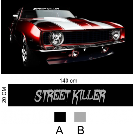 STREET KILLER AURINKOSUOJA TARRA