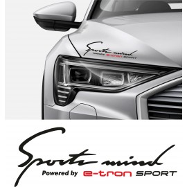 AUDI /SPORTS MIND POWERED E-TRON SPORT