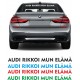 AUDI RIKKOI MUN ELÄMÄ/ IKKUNATARRA