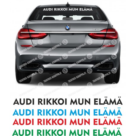 AUDI RIKKOI MUN ELÄMÄ/ IKKUNATARRA