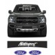 FORD MOTORSPORT SARJA TARRAT