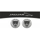 JAGUAR RACING SARJA TARRAT