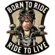 PORN TO RIDE...