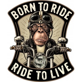 PORN TO RIDE...