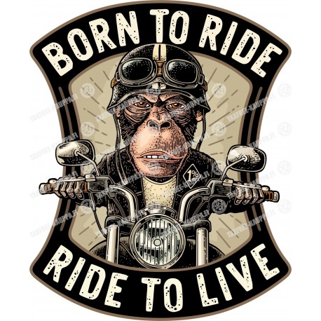 PORN TO RIDE...