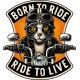 PORN TO RIDE...