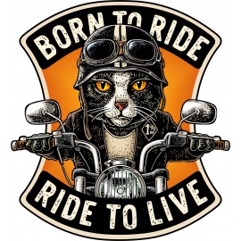 PORN TO RIDE...