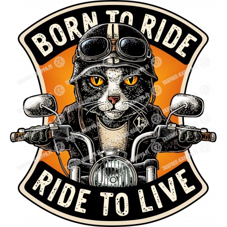 PORN TO RIDE...