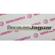  JAGUAR TARRA/BECAUSE JAGUAR