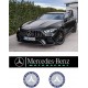 MERCEDES MOTORSPORT