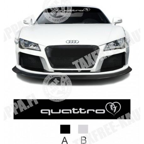AURINKOSUOJA TARRA/AUDI QUATTRO