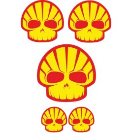 SHELL SARJA