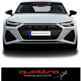 AUDI QUATTRO AURINKOSUOJA TARRA